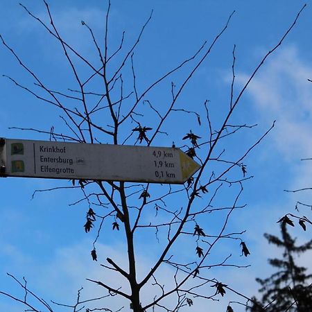 Pension Entersburg Bad Bertrich Exteriér fotografie